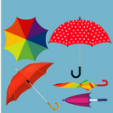 Umbrella & Parasol