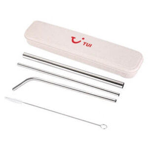 Stainless Steel Drinking Straw Set