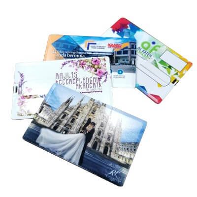 FREEMIUMS GTUSB023-8GB-9 Flip Card Shape USB Flash Drive-8GB