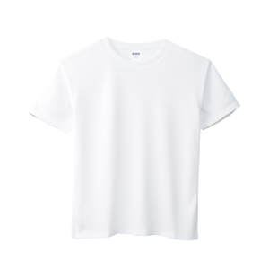 GILDAN ATHLETIC TSHIRT - 4B100B