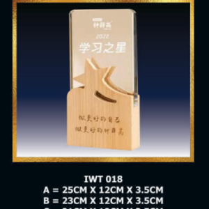 Exclusive Crystal Wooden Award