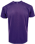 Freemiums P-901 PURPLE PNG